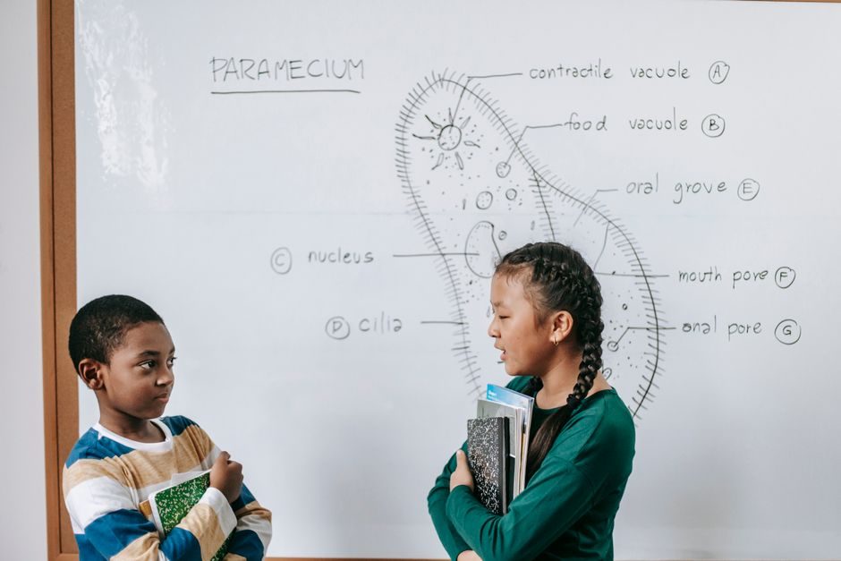 Student-Centred Leadership