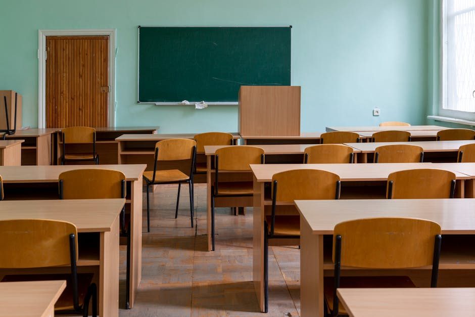 School Inspection and Review